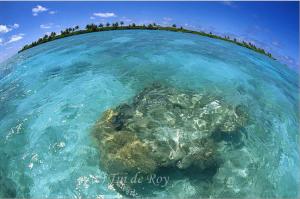 Pacific Remote Islands Marine National Monument Expanded to 490,000 Square Miles